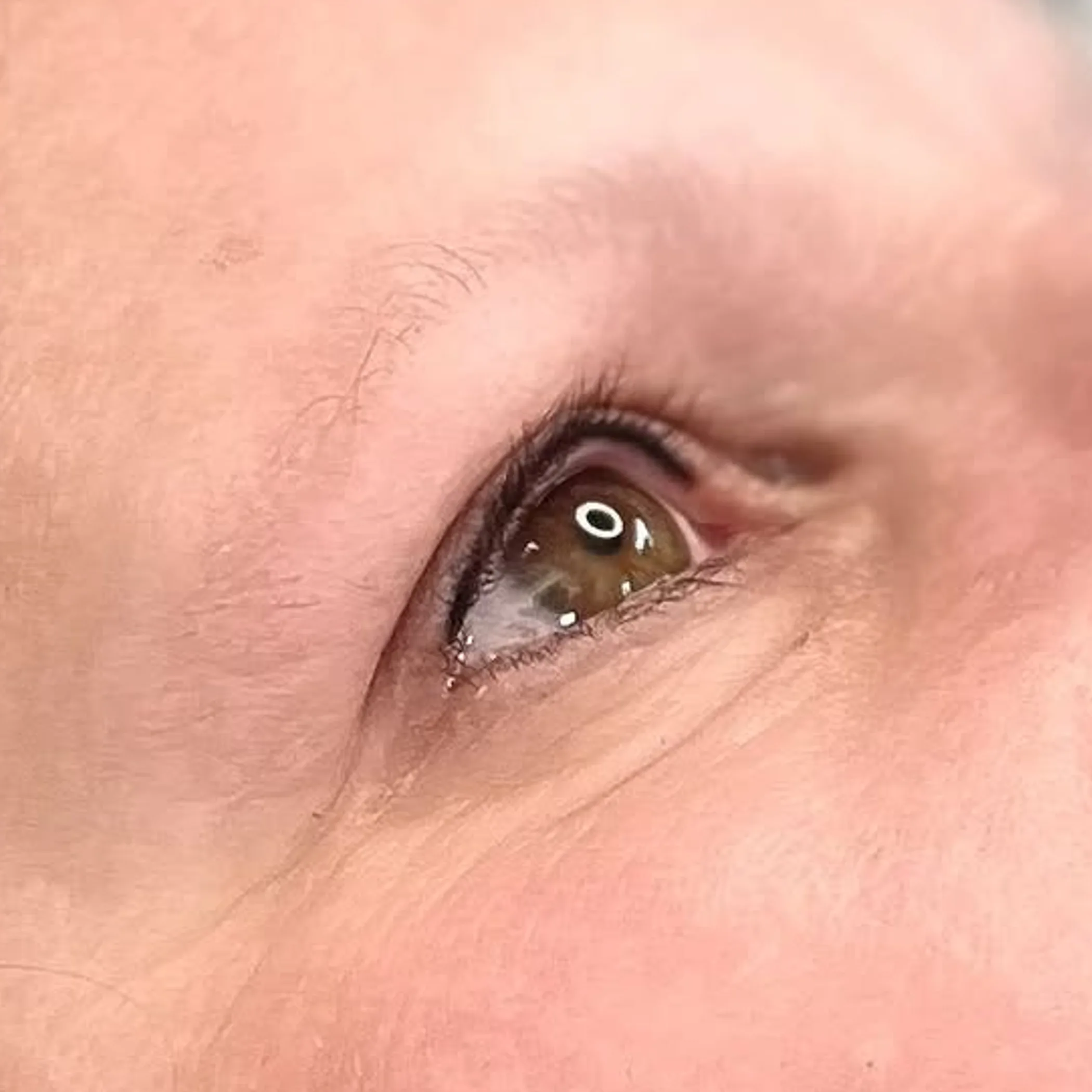 close-up of permanent makeup on lash line