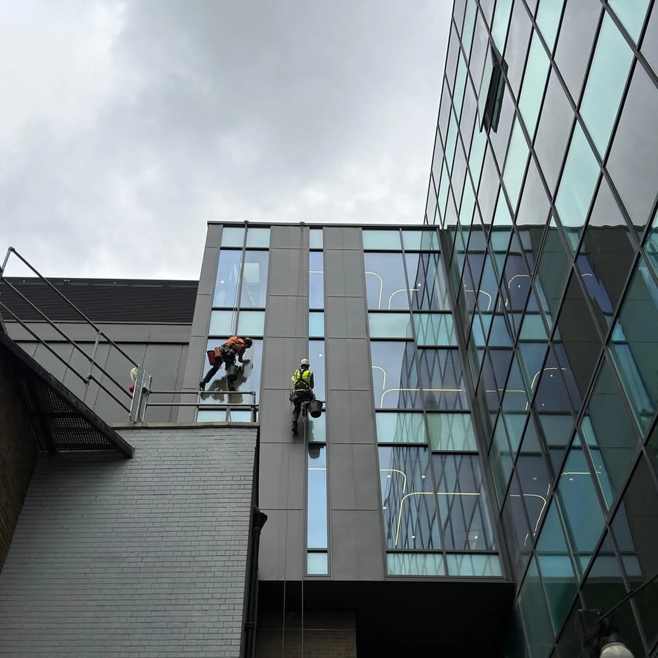 workers abseiling on high-rise building