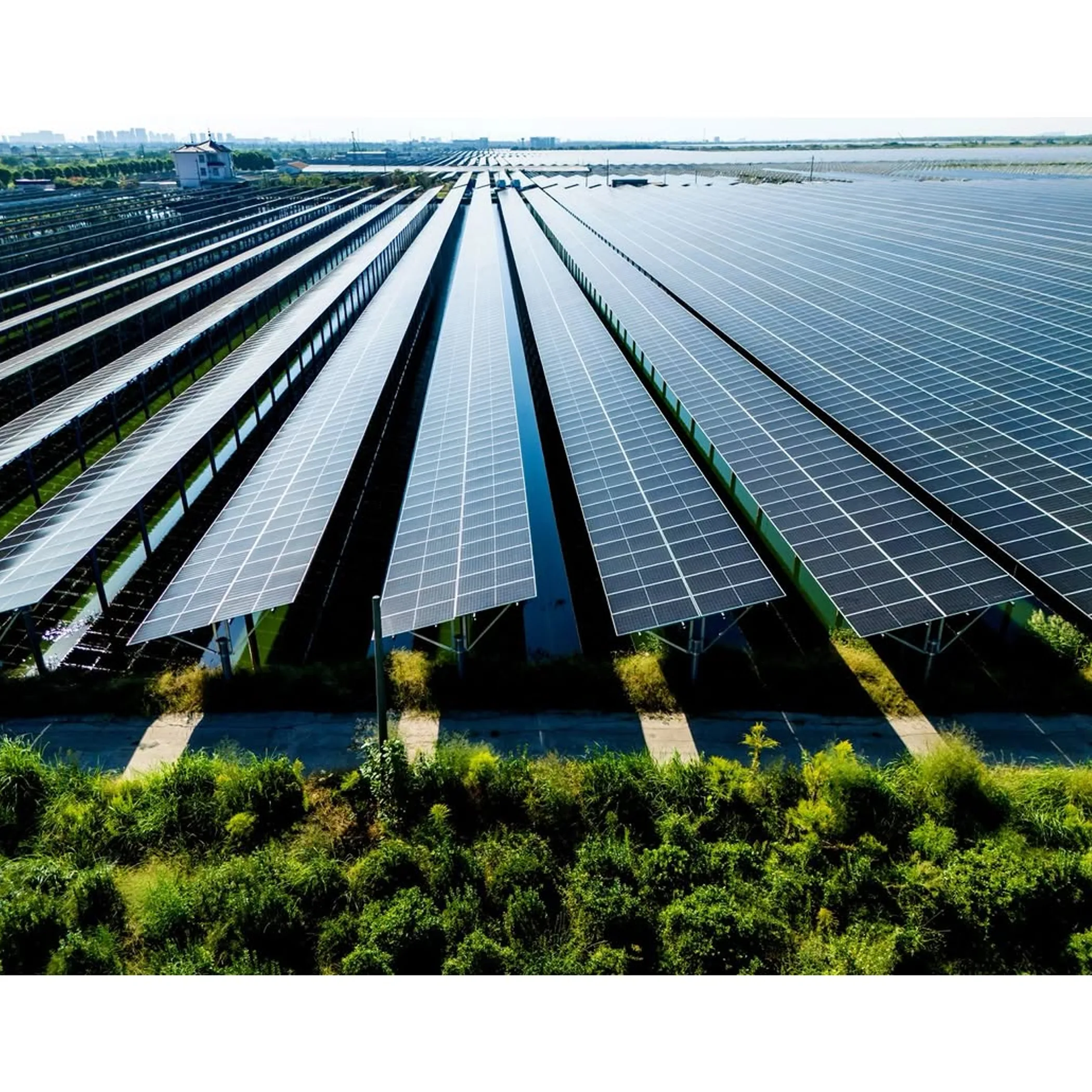 clean solar panels